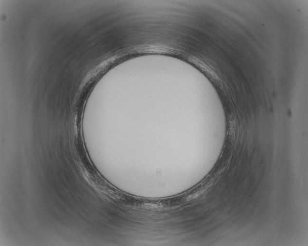 X0000085000302200703050942