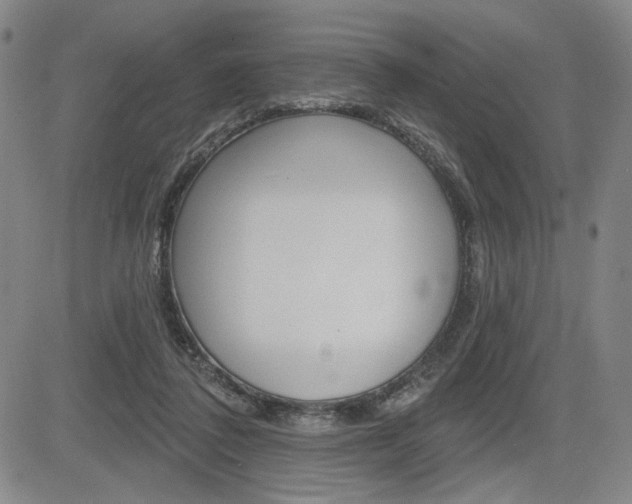 X0000085000308200703050942