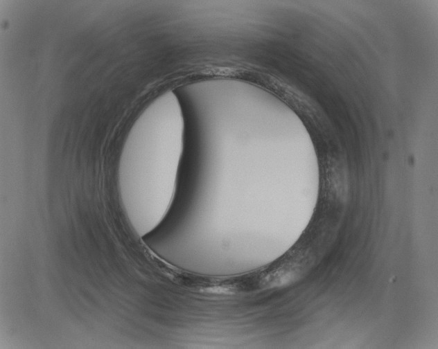 X0000085000312200703050942