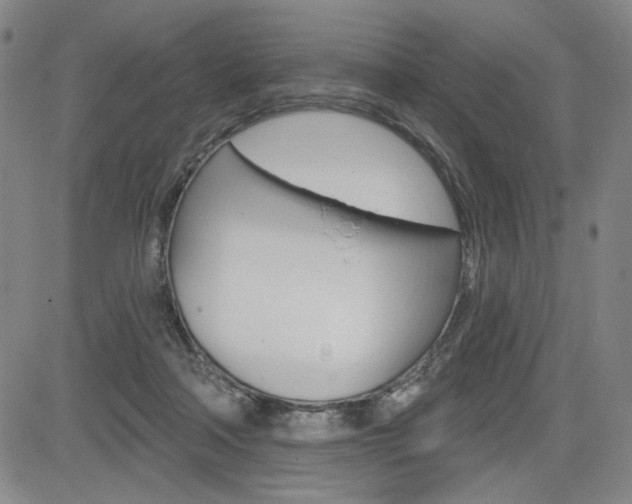 X0000085000314200703050942