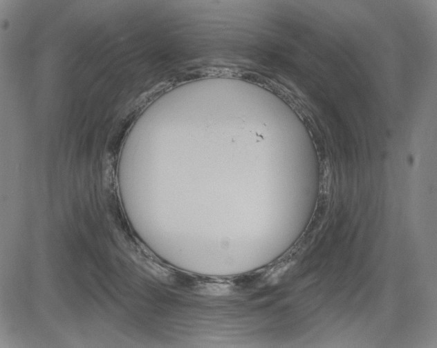 X0000085000318200703050942
