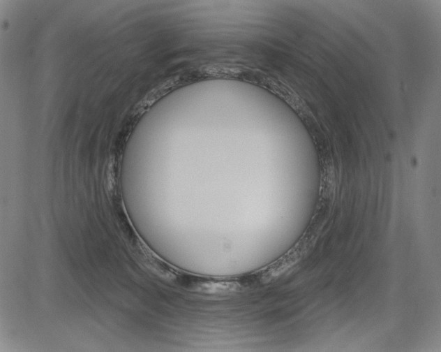 X0000085000323200703050942