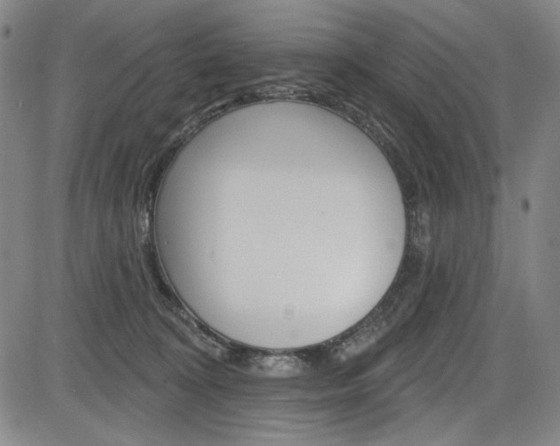 X0000085000324200703050942