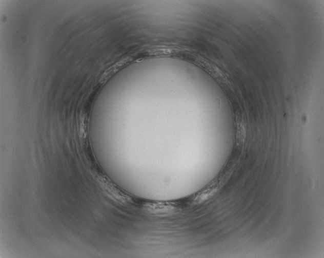 X0000085000331200703050942