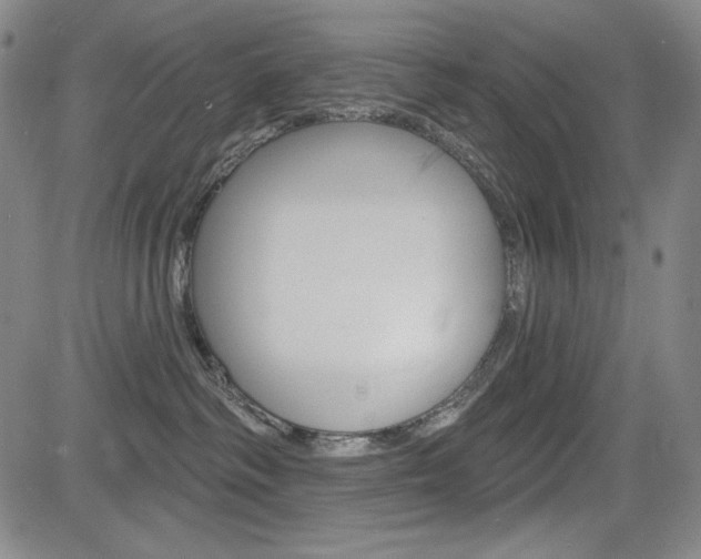 X0000085000334200703050942