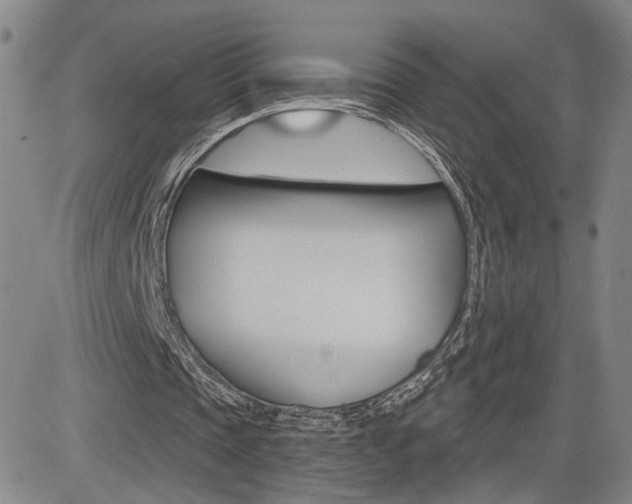 X0000085000337200703050941