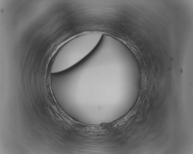 X0000085000338200703050941