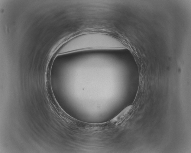 X0000085000340200703050941