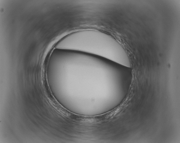 X0000085000342200703050941