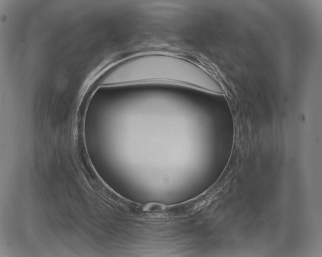 X0000085000344200703050941
