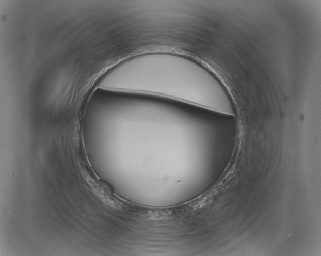 X0000085000345200703050941