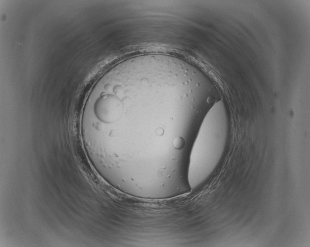 X0000085000347200703050941