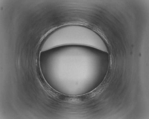 X0000085000348200703050941
