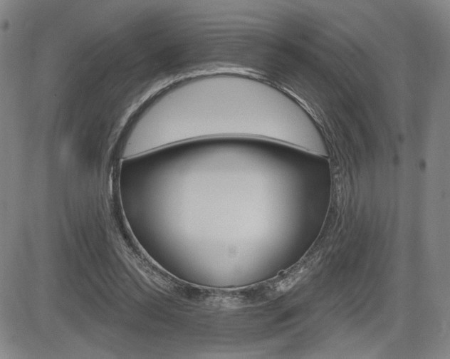 X0000085000350200703050941
