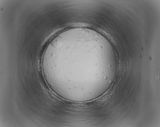 X0000085000351200703050941