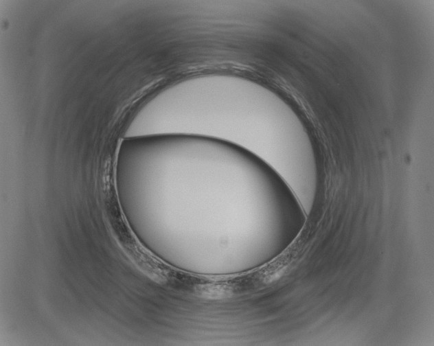X0000085000356200703050941