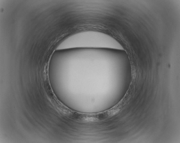 X0000085000360200703050941