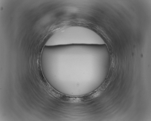 X0000085000363200703050941