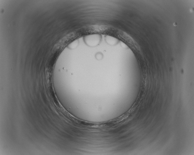 X0000085000366200703050942