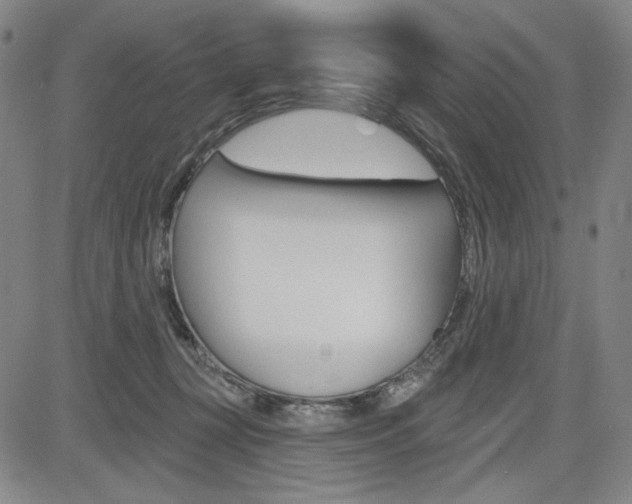 X0000085000367200703050942