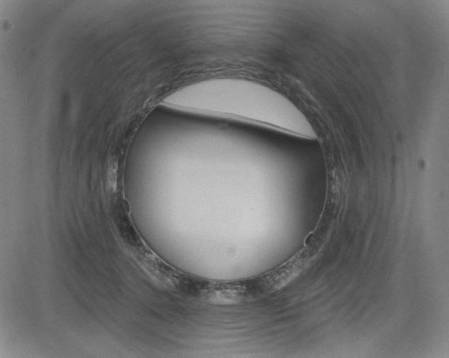 X0000085000368200703050942