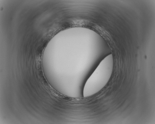 X0000085000369200703050942