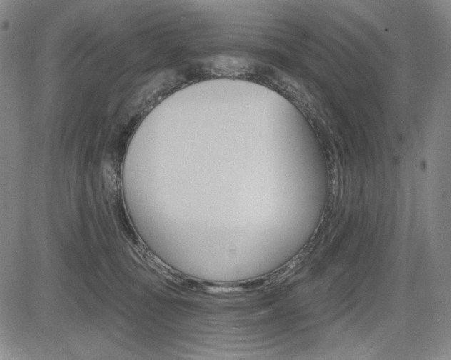 X0000085000371200703050942