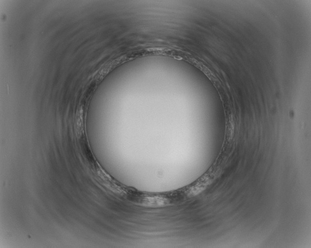 X0000085000376200703050942