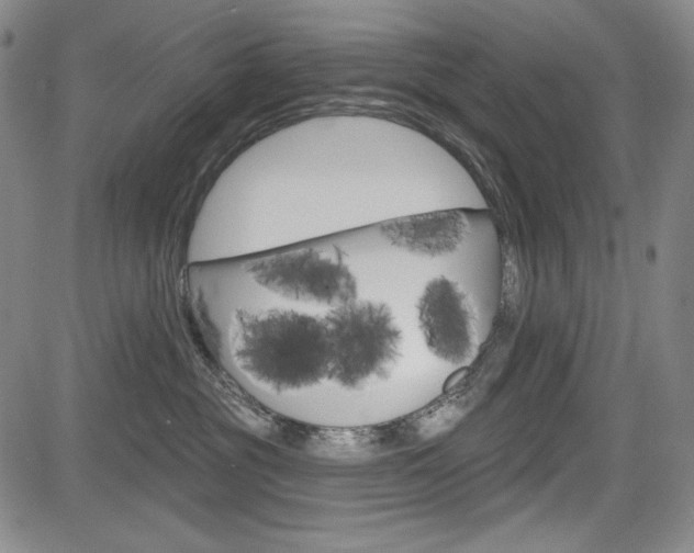 X0000085000381200703050942