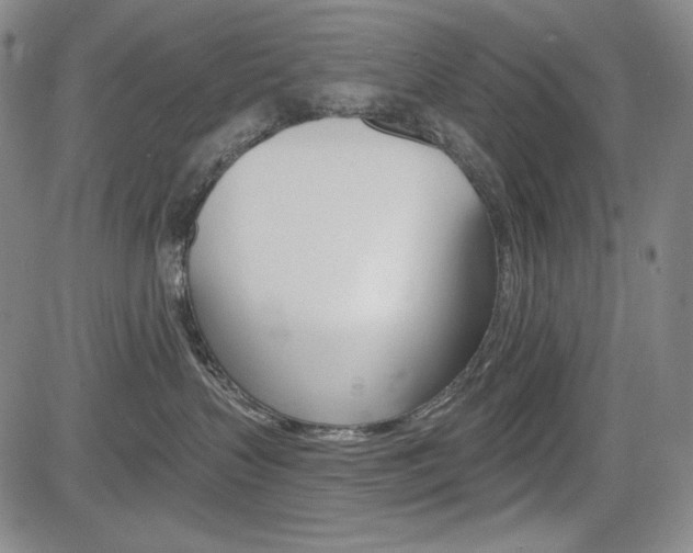X0000085000383200703050942