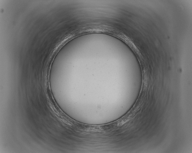 X0000085000386200703050941