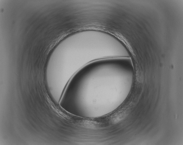 X0000085000393200703050941