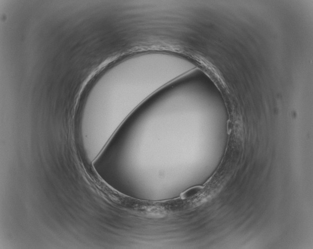 X0000085000395200703050941
