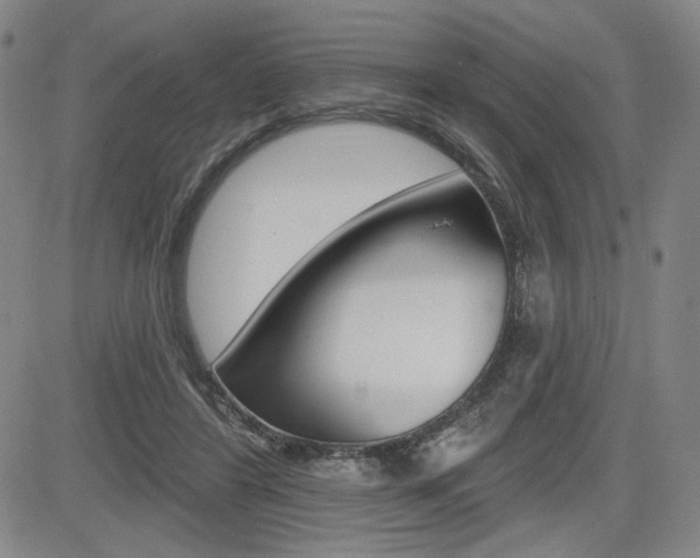 X0000085000404200703050941