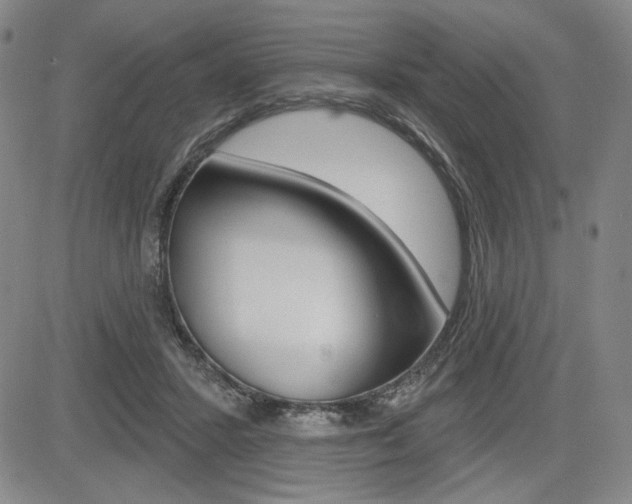 X0000085000407200703050941