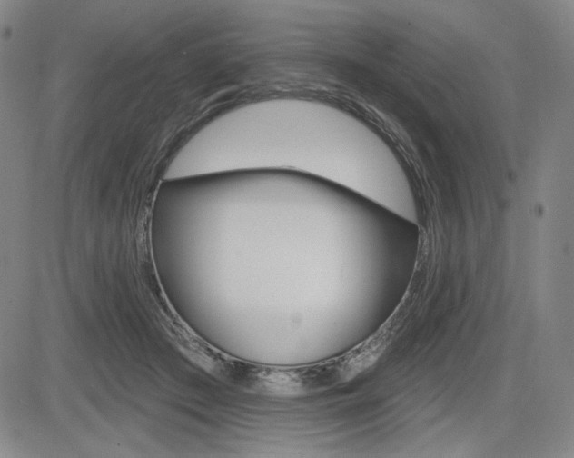 X0000085000409200703050941