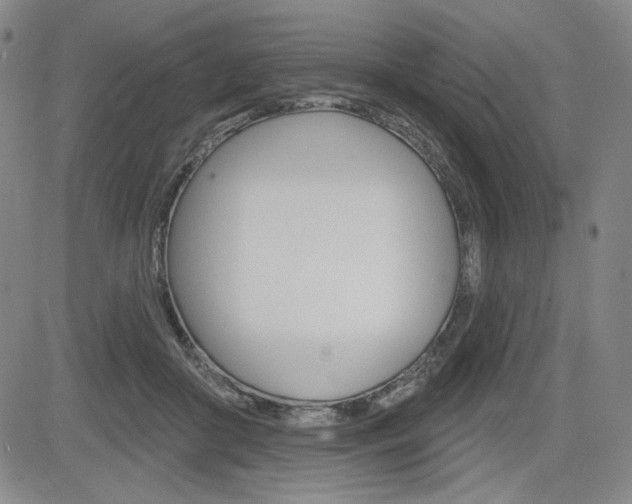 X0000085000410200703050941