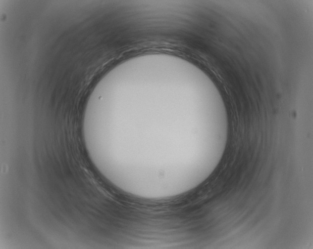 X0000085000411200703050941