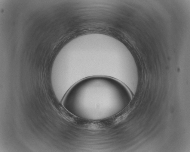 X0000085000412200703050941