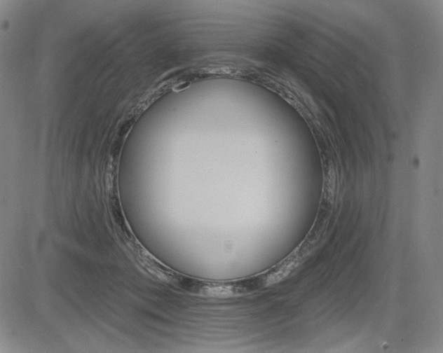X0000085000413200703050941