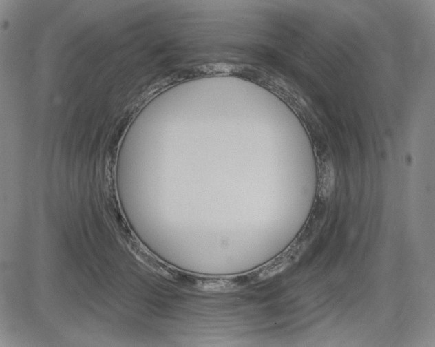 X0000085000414200703050941