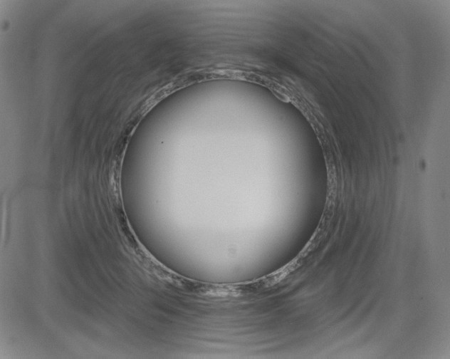 X0000085000415200703050941