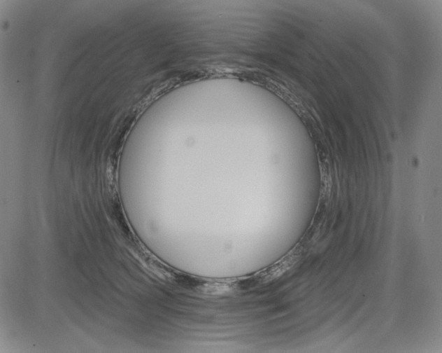 X0000085000418200703050940