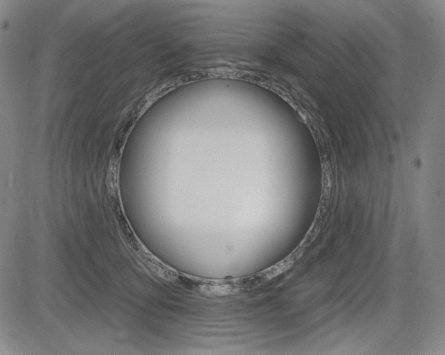 X0000085000419200703050940