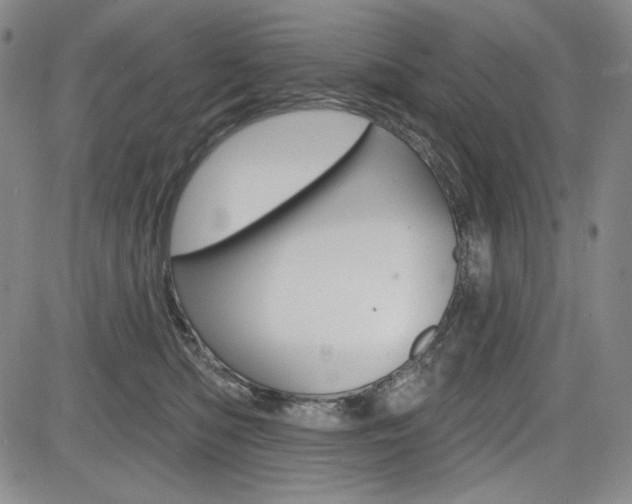 X0000085000422200703050940