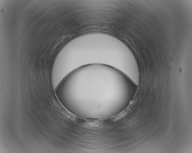 X0000085000423200703050940