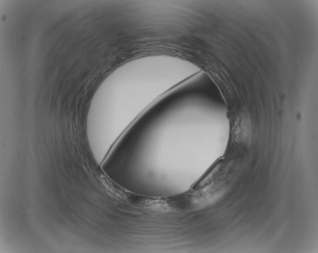 X0000085000424200703050940