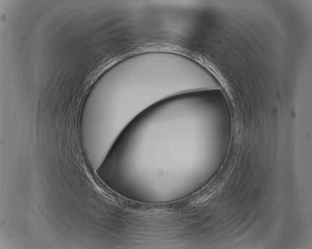 X0000085000433200703050939