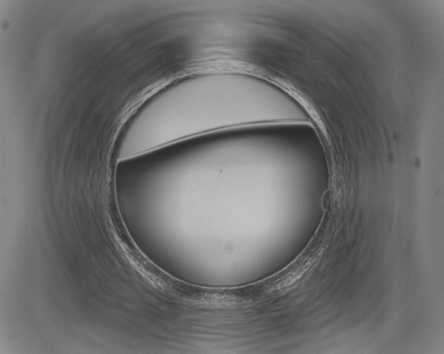X0000085000437200703050940