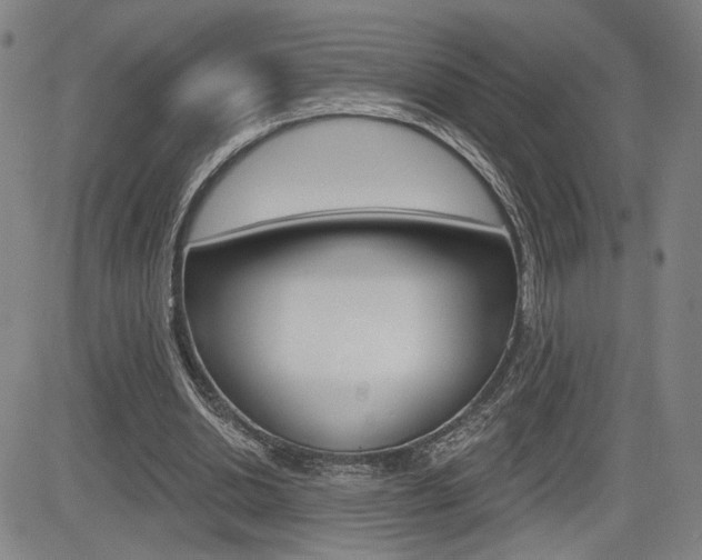 X0000085000438200703050940